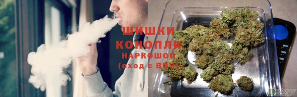 дурь Алексеевка