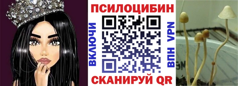 Псилоцибиновые грибы MAGIC MUSHROOMS  Тогучин 